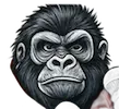 Monkey Head