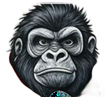 Monkey Head